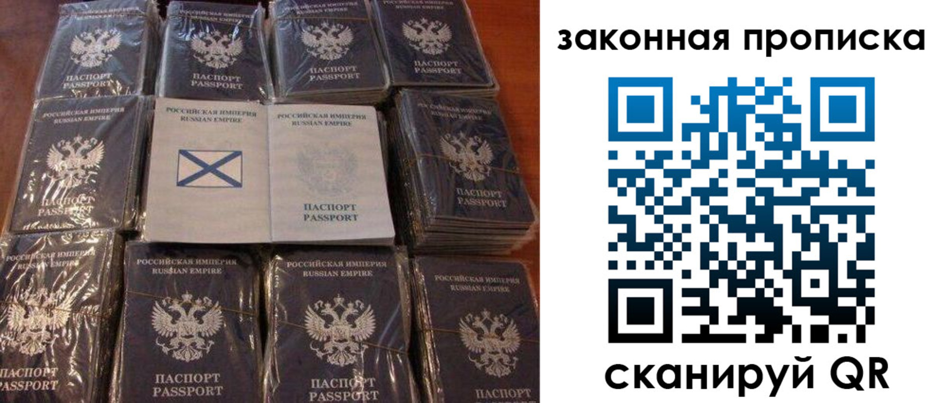 прописка для школы в Сальске