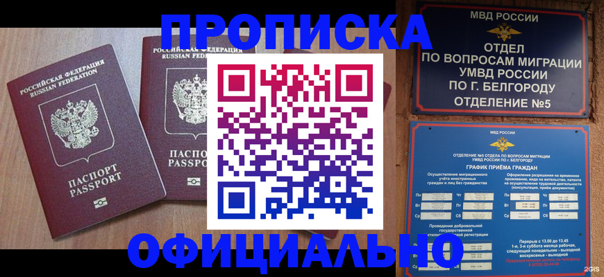 найти адрес прописки в Сальске